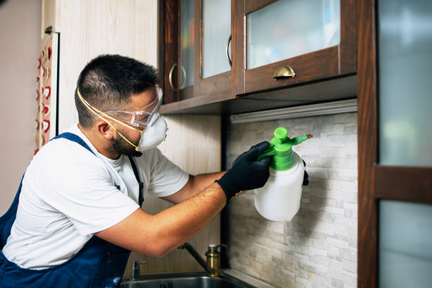 Best Best Pest Control Companies  in Sugarland Run, VA