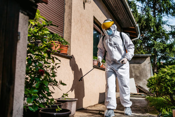Best Rat Extermination Near Me  in Sugarland Run, VA