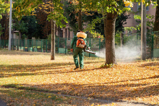 Best Affordable Pest Control Services  in Sugarland Run, VA