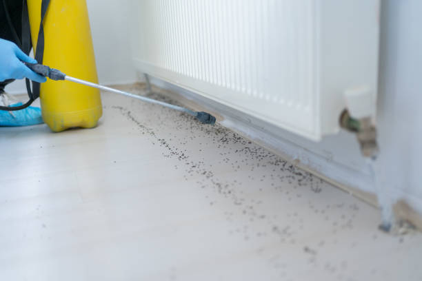 Best Commercial Pest Control Services  in Sugarland Run, VA